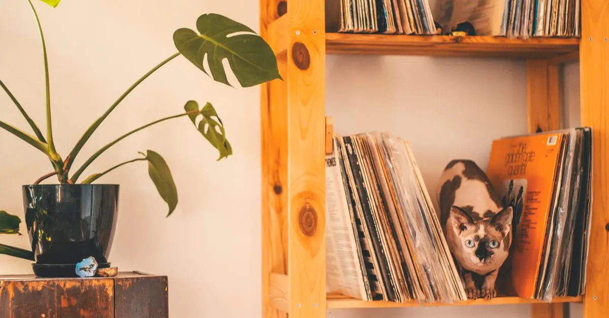 Les avantages d'opter pour des meubles en bois sur mesure