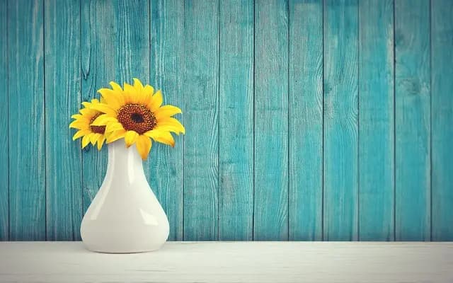 Les meilleures méthodes pour rénover vos meubles en bois