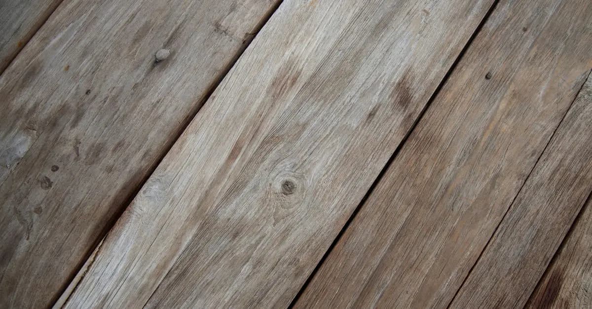 Pourquoi le bois de chêne est-il si populaire ?
