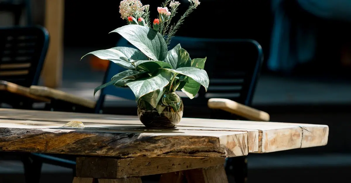 Guide complet pour entretenir vos meubles en bois