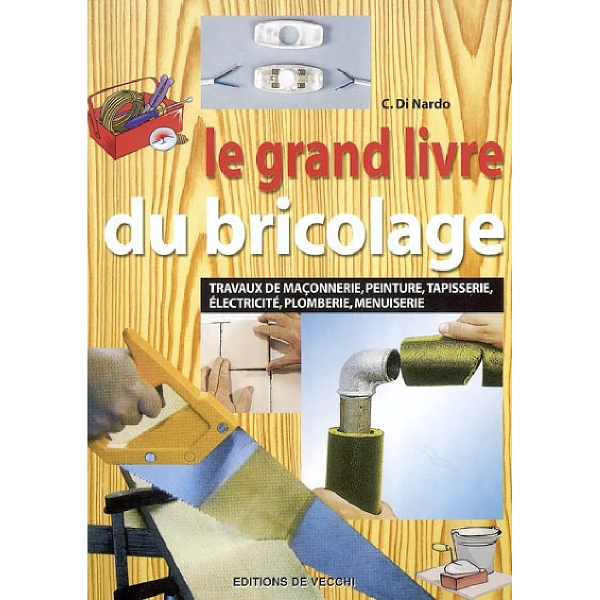 Le grand livre du bricolage : travaux de maçonnerie, peinture, tapisserie, électricité, plomberie, menuiserie