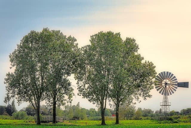 Comment entretenir vos menuiseries en bois pour qu'elles durent